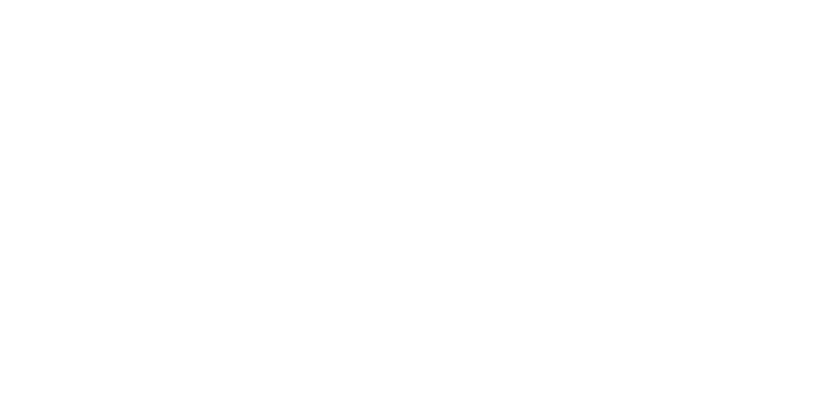 Logo Footer