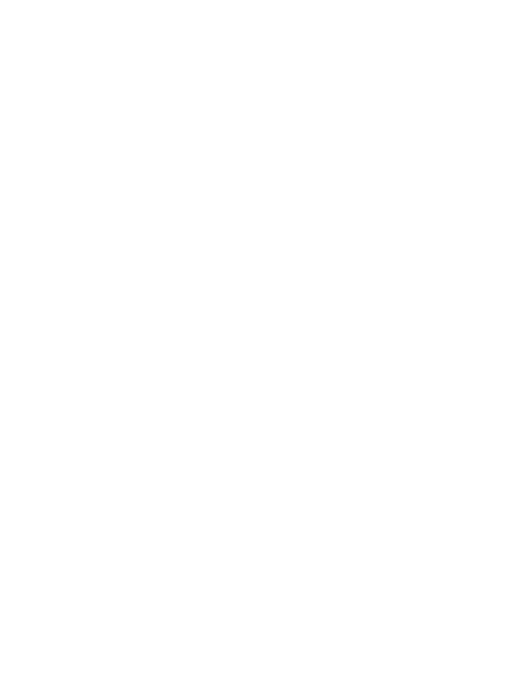 Logo Footer